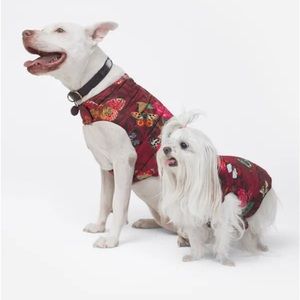 HOST PICK  🎉 Limited edition* Johnny Was puppy puffer jacket in “Holly”